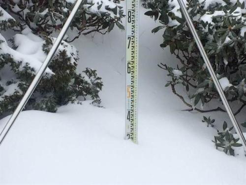 台湾地区寒流袭击 全台累计132人猝死