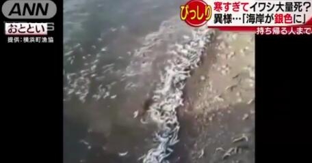 日本海岸诡异现象 日媒称这或许是上天的恩惠