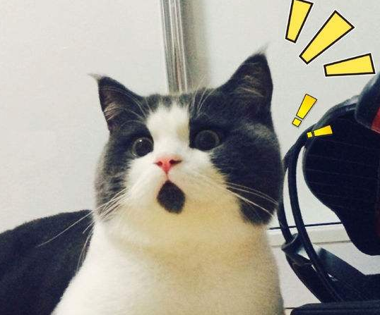 非农助美元实现大逆转 国际黄金连失两城