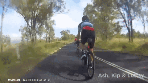 澳洲女子骑行遭遇天降袋鼠 瞬间晕了过去