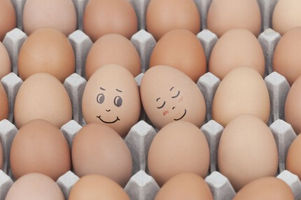 每天吃多少鸡蛋最好