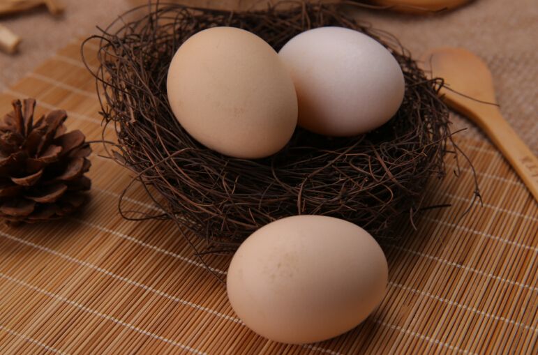 鸡蛋期货主力合约震荡 市场情绪谨慎