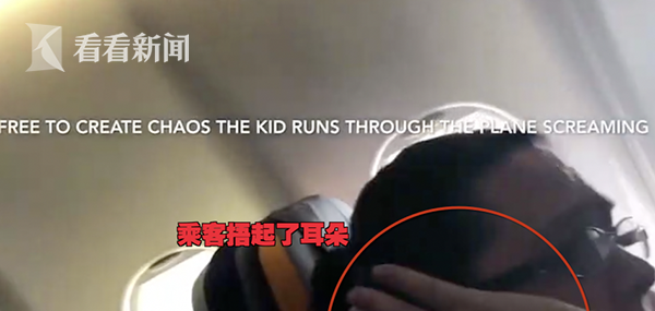 58cfa31b3d823007520d60f10bd6b2e8.png 熊孩子飞机上狂吼8小时 其母坐在一旁什么都不管