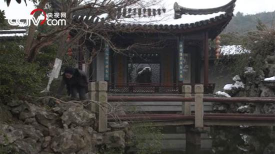 跨越千年的奇缘 它寄托着一代又一代人的乡愁