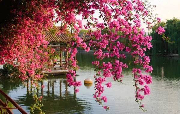 春节过后适合游玩的七个地方