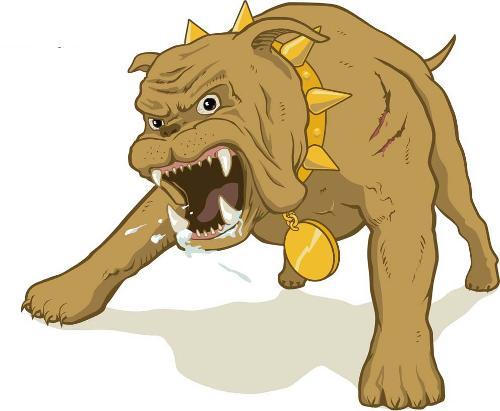 黄金狗年沦丧家犬 跌跌不休逼近1320