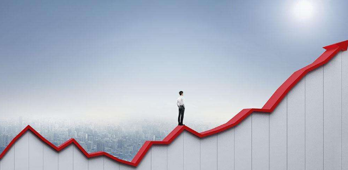 创造全国经济总量的半壁江山_半壁江山猜成语图片(3)