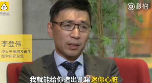 香港大学造出世界首个人造心脏 几升血液就能再造迷你心脏