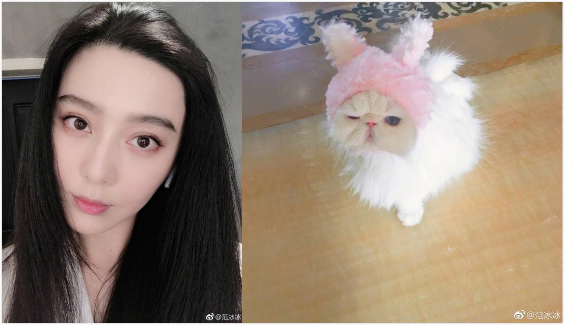 范冰冰晒素颜照和猫比美:我和我妹
