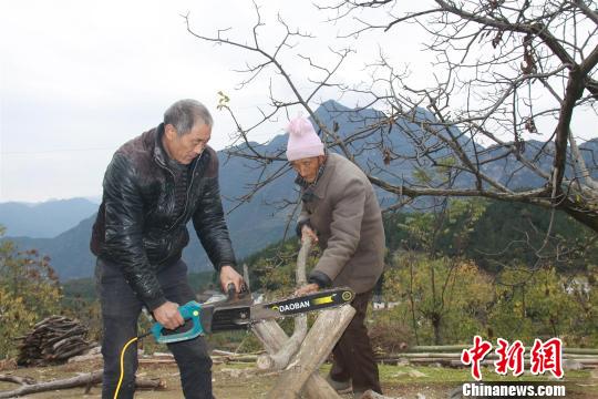 邓清林和岳父砍柴 钟欣 摄 孝婿奉养前岳父母 他们当作自己的亲生父母来奉养