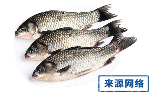 鱼刺卡住喉咙要如何急救 喉咙被鱼刺卡住了要怎么办 喉咙卡到鱼刺要如何处理