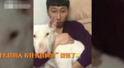 宠物养久成父子脸 如同一个模子刻出来的