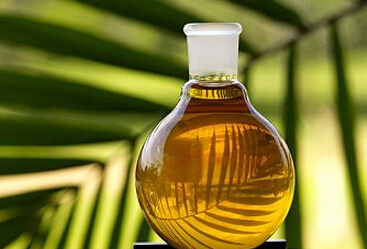 印度上调关税 棕榈油现良好入场时机