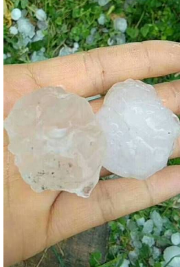 广西钟山下冰雹 大小犹如乒乓球