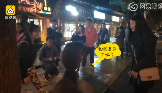 花4万多买羊驼送女儿玩 真是贫穷限制了我的想象!