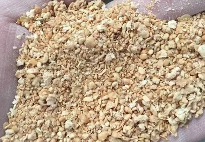 多因素影响豆粕基本面上涨缺乏持续性