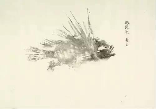 鱼拓严格上讲不是画