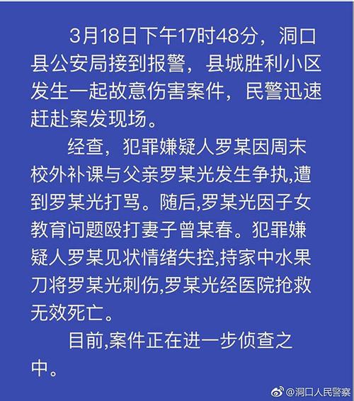 湖南洞口警方通报 女生持刀向父亲背部连戳数刀致死