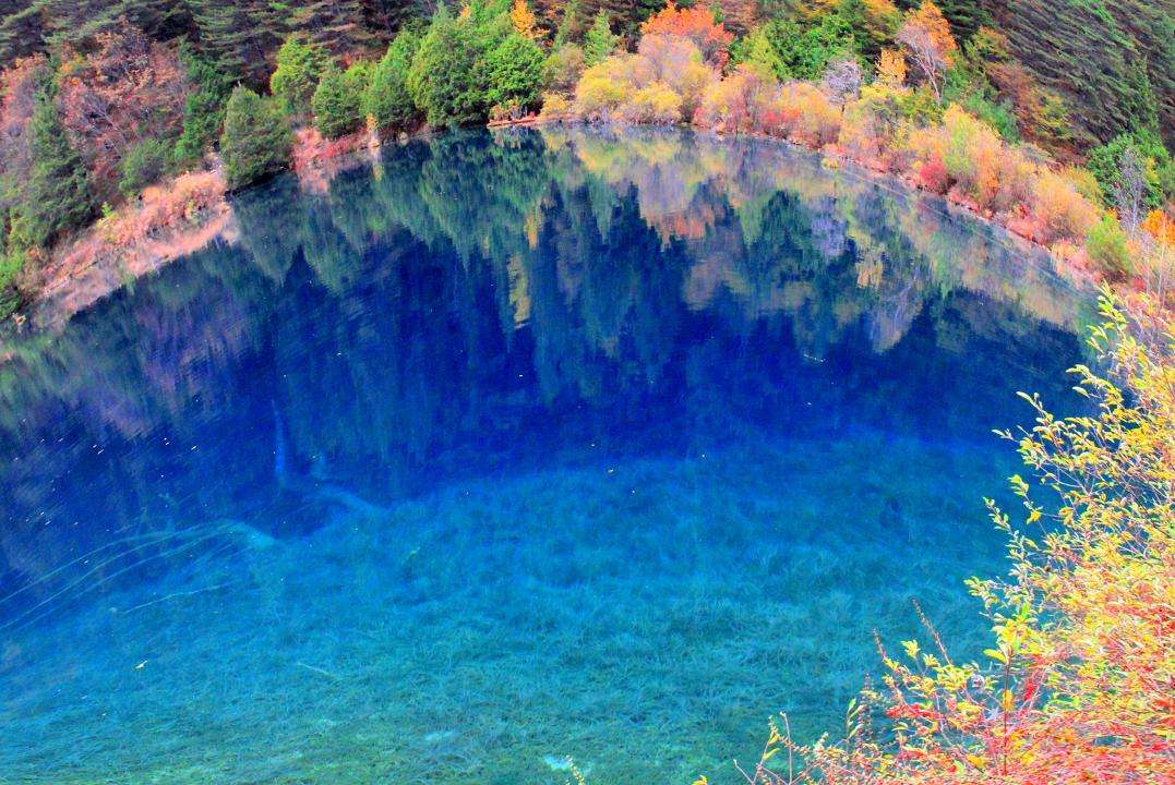 进九寨沟游玩被拘10日 景区早已明确暂不接待