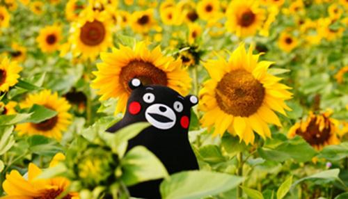 美元重挫至五周低位 黄金多头再迎利好?