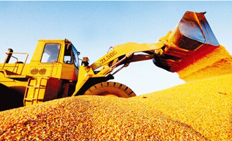 临储玉米拍卖传闻继续“发酵” 国内玉米市场价格全线下调