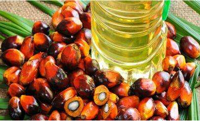 国内油脂市场缺乏方向指引 棕榈油弱势延续