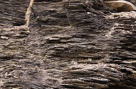 美国页岩区并购“头炮”打响