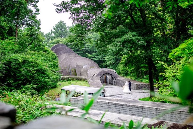 夏天去日本旅游好吗-第2页