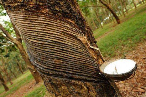 贸易战停战利好 沪胶领涨大宗商品