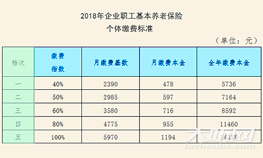 泸州2018年养老保险个体可开始缴费