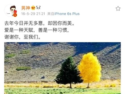 范冰冰李晨游美国 大黑牛一人推行李车男友力max