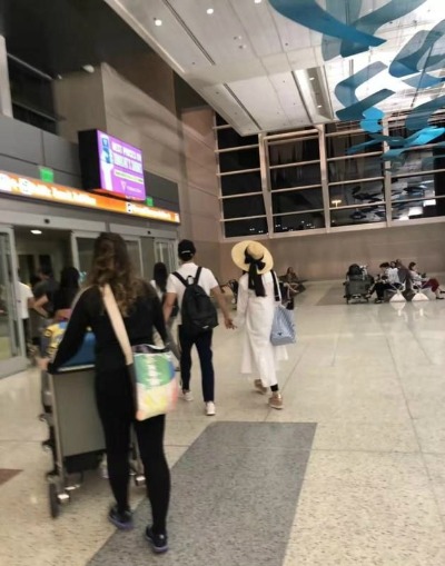 范冰冰李晨游美国 大黑牛一人推行李车男友力max
