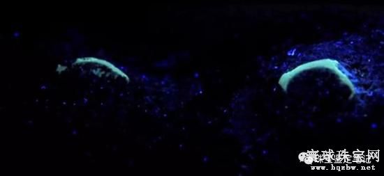 黑色云母岩仿冒祖母绿原石 值得检测界同行警惕!