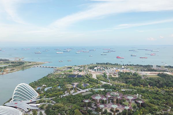 新加坡树办身份证 被誉为亚洲最大的“树地图”