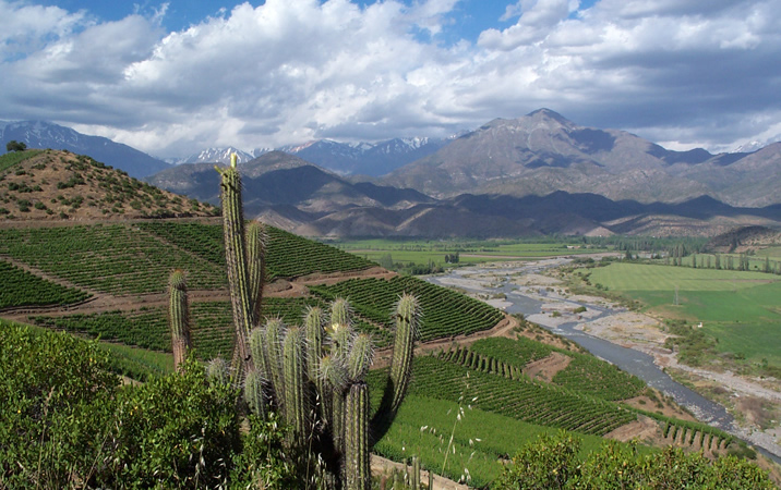 正文图片来源:discounts wow 作为经典的红葡萄酒产区,阿空加瓜谷以