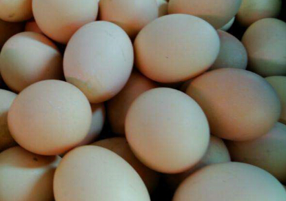 本月鸡蛋价格持续走高 或再次出现“火箭蛋”？