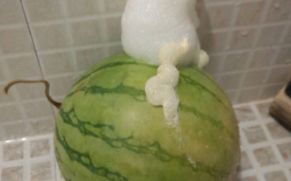 西瓜居然吐泡泡 专家建议不要再食用