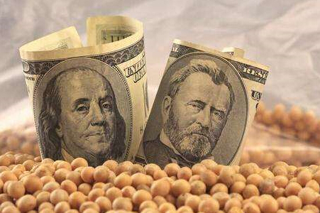 全球大豆市场波动加剧 美豆市场充满了不确定性