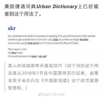 skr被美国俚语词典收录