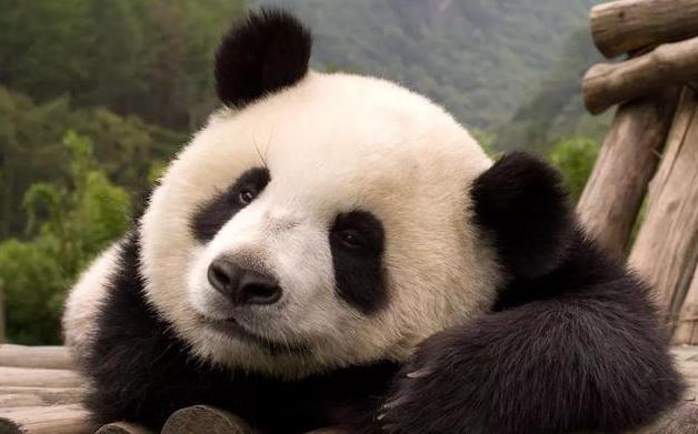 匯率大跌50% 通脹超過(guò)200% 下一步也許就是戰(zhàn)爭(zhēng)！