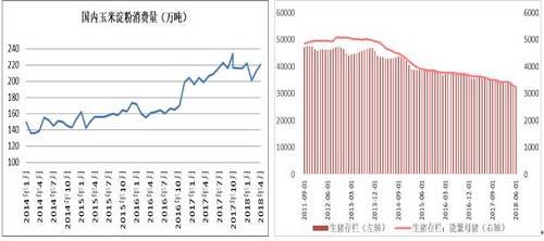 【玉米】短期内玉米或将回调 中长期涨势不改