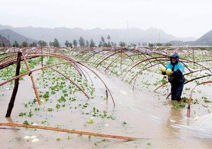 受台风影响东北地区内涝 农作物产量或下降