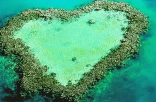 世界上最大最长的珊瑚礁群大堡礁 被称为“透明清澈的海中野生王国”