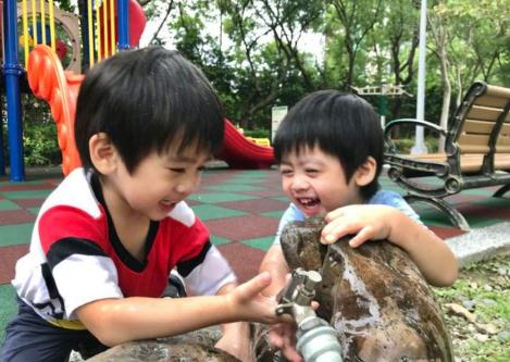 林志颖晒双子星玩耍照片:有伴一起成长真幸福