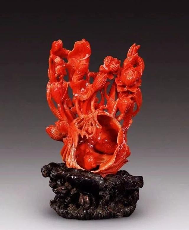 红珊瑚——升值不断的宝贝