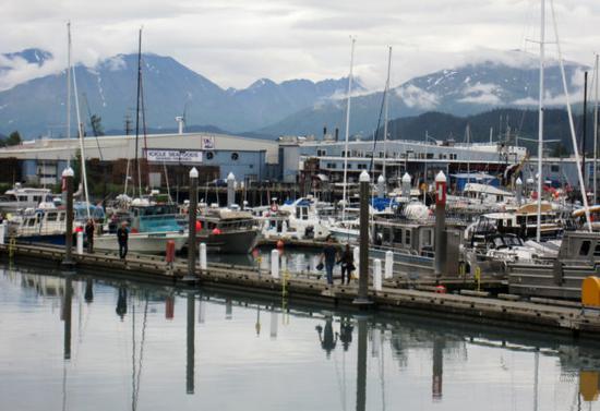 特朗普贸易战最新消息:面对贸易风浪 美国阿拉