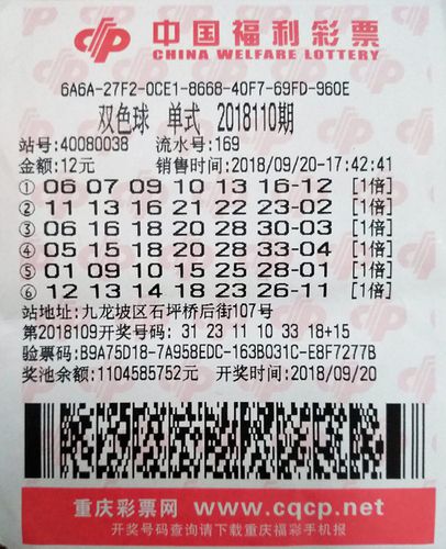 快3彩票投注与开奖数据查询齐鲁健儿展风采 体操盛宴耀任城 2025年“中国体育彩票杯”山东省体操锦标赛开幕