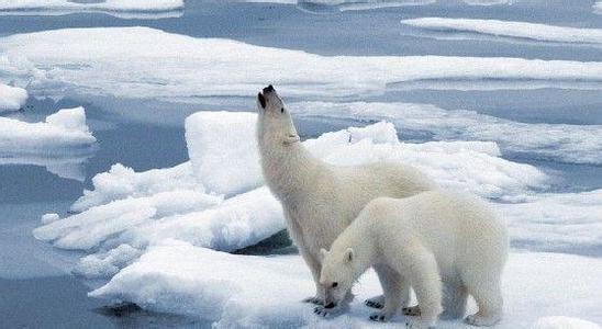 冰川融化的原因及影响 cedb674492a155102c34a1be91cd8fc9.jpg?_=1540345394911