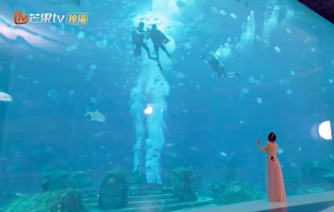 郭晓东水下求婚程莉莎:我不能发光但照样能做你的太阳