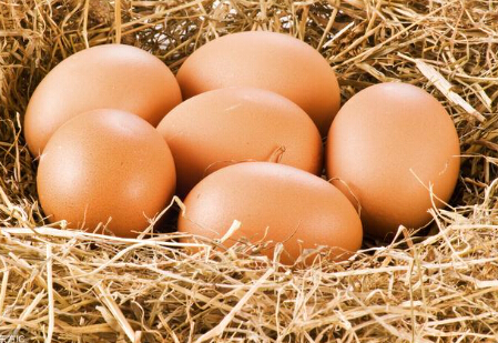 春节备货开启 鸡蛋季节性上涨仍可期